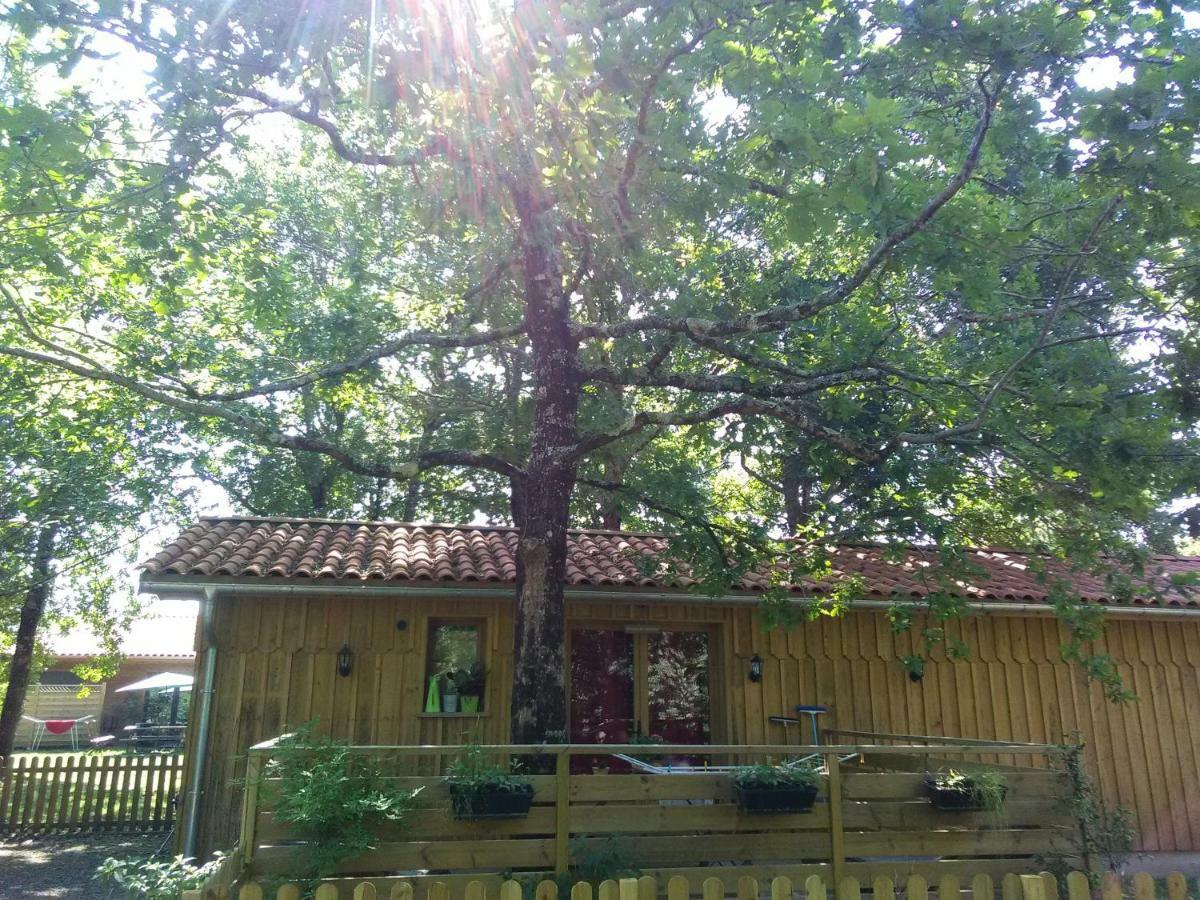 Villa La Grange Et Le Nid Biscarrosse Exterior foto